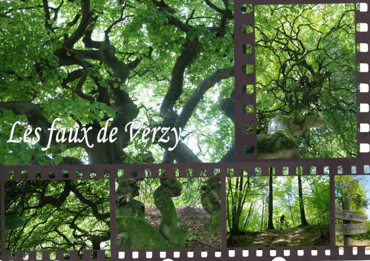 Bedinreims "Burgundy Bottle" 110M2 Exceptional, 4 Chambres Doubles, 2 Bain, Free Park & Wifi, Tout Equipe Ngoại thất bức ảnh